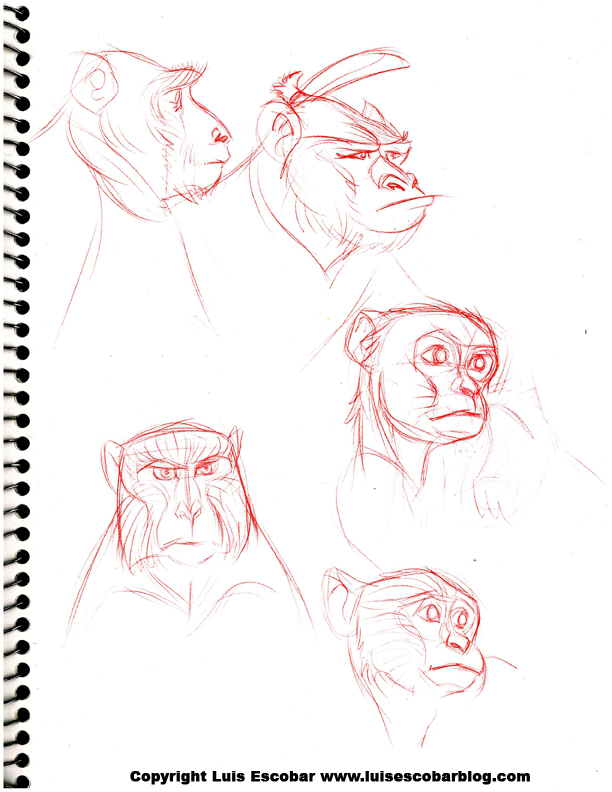 monkeys-11.jpg