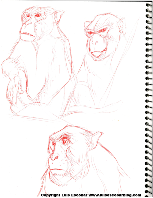 monkeys-12.jpg