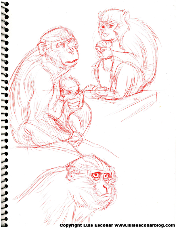 monkeys-13.jpg