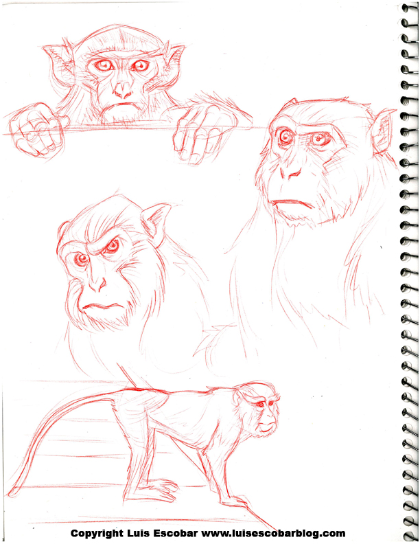 monkeys-14.jpg