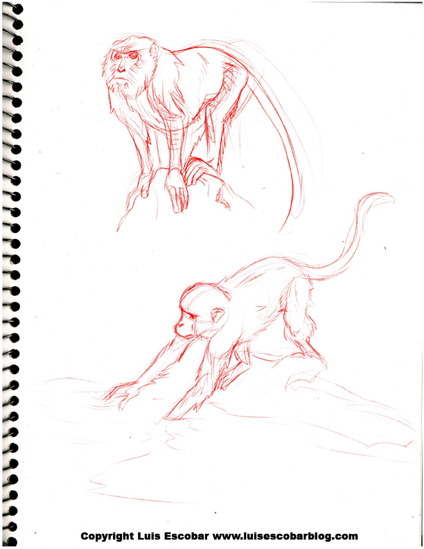 monkeys-15.jpg