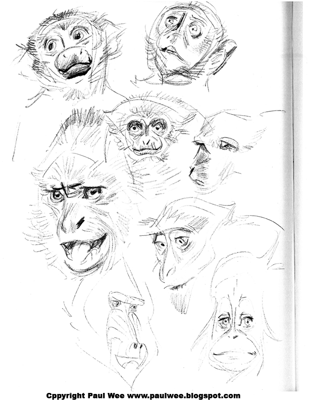 pauls-page.jpg
